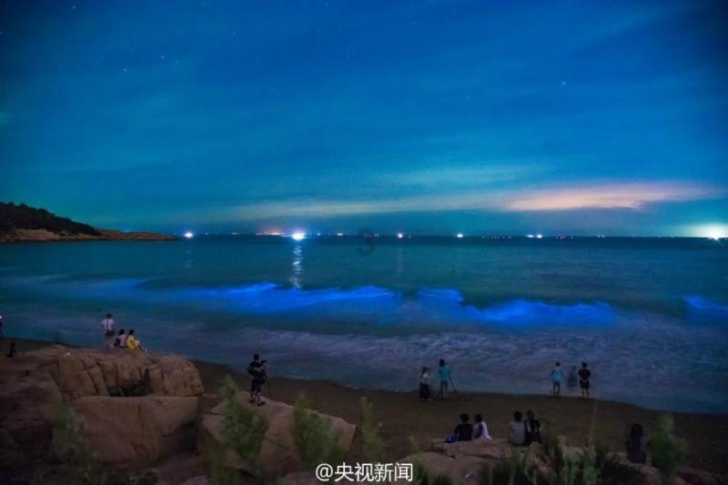章泽天成为公司的最大股东，她是怎么做到的？